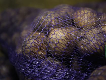 Почему не стоит исключать картофель из своего рациона