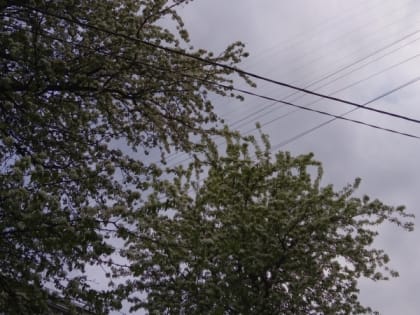 В Мордовии синоптики ожидают серьезные перемены в погоде