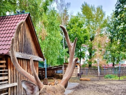 Саранский городской зоопарк приглашает гостей и жителей Саранска провести семейные выходные вместе