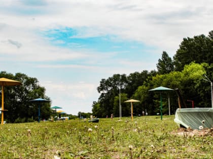 Жителей Мордовии ждет ослабление аномальной жары