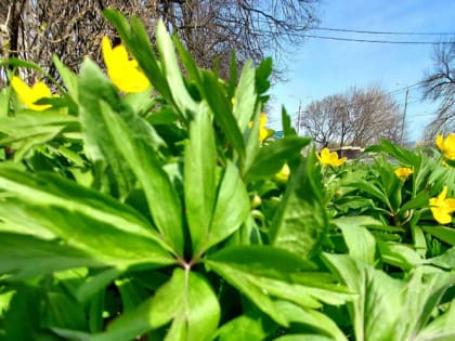 Светлый четверг: не делайте этого 20 апреля, чтобы не притянуть беду