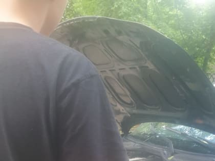 Штраф обеспечен: с 9 июня автовладельца на природе подкарауливают большие неприятности — и не только  денежные санкции