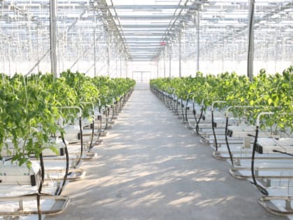 В Саранске выявлены очаги одного из самых опасных заболеваний в мире