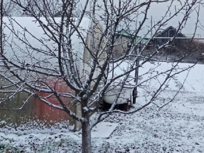 План работ в огороде и саду на февраль