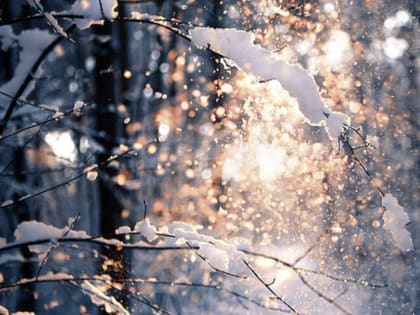 В Саранске на 18 декабря объявлено оперативное предупреждение