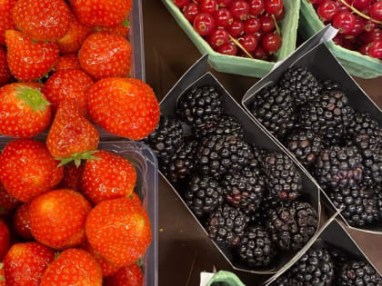 Опасности винограда: что стоит знать о популярном фрукте