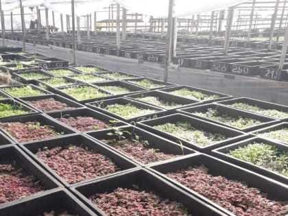 Во время каникул школьники посетили муниципальное предприятие 