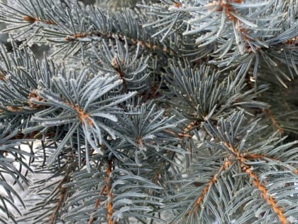 Синоптики рассказали о погоде в Мордовии на выходные