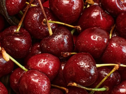 Роспотребнадзор напомнил: чтобы не заболеть ботулизмом, как правильно выбрать черешню — что с ней дальше делать