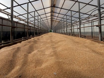 В Мордовии развивается аграрный экспорт