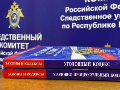 Девушку в Саранске осудят за создание шпионской рубашки 