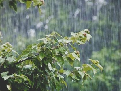 В Саранске на 30 июня объявлено оперативное предупреждение