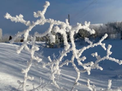 В Мордовии температура воздуха понизится до минус 19 градусов