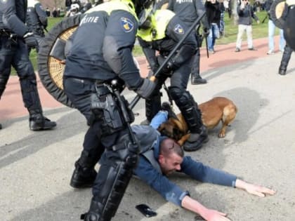 Гуманные голландцы спустили собак на противников ковидных ограничений