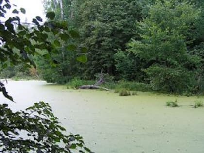 В Мордовии появились две особо охраняемые природные территории