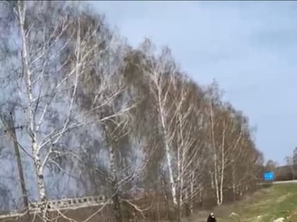 В Октябрьском районе Саранска сотрудники Администрации в рамках акции «Чистый город» убрали зеленую зону в районе выезда из города по направлению в село Атемар