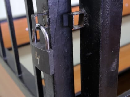 24-летний парень и его подружка девять лет проведут в колонии за попытку сбыта наркотиков в Мордовии