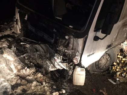 Установлен возраст детей, которые погибли в ДТП у села Большие Ремезенки в Мордовии 