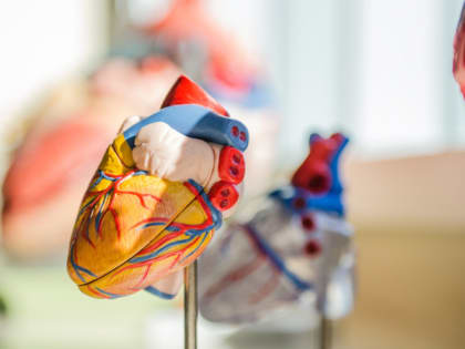 Врач Наталья Желтова рассказала, как уберечь сердце от заболеваний