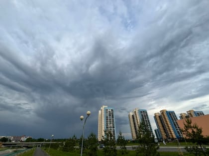 В Саранске на 3 июня объявлено оперативное предупреждение
