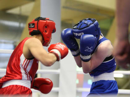 В Мордовии прошёл турнир по боксу памяти Андрея Кузнецова