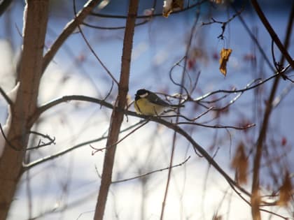 Синоптики рассказали о погоде на Старый Новый год