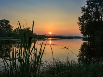 Иван Купала 2024: когда будет, что нельзя делать