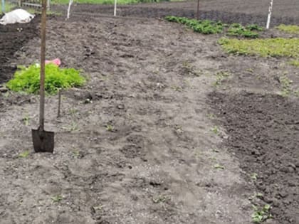 Осенняя перекопка: необходимость для садоводов и огородников