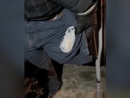 В Саранске задержали одноногого гражданина Армении 