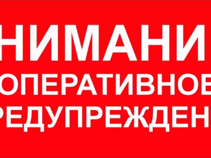 Оперативное предупреждение: 12 марта в Мордовии будет ветрено