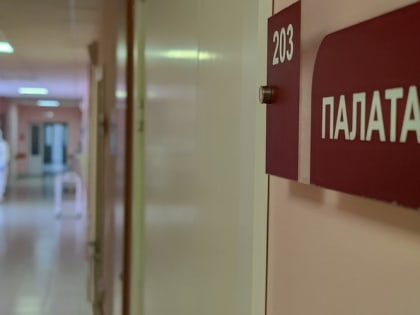 Рост заболеваемости пневмонией в России в 2023 году