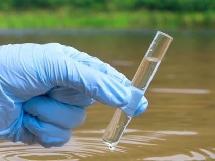 Вслед за «Стартом» купаться стало небезопасно и на Луховском пруду