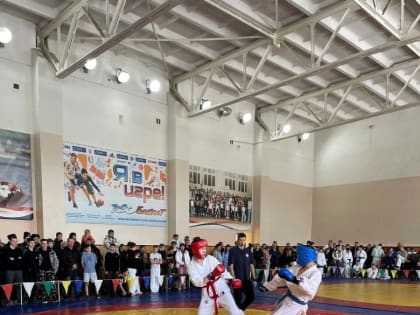 В Мордовии прошел открытый республиканский турнир по рукопашному бою