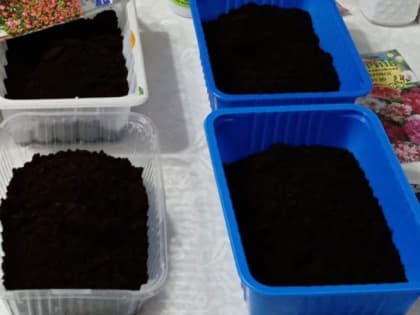 Как самостоятельно приготовить почву для рассады