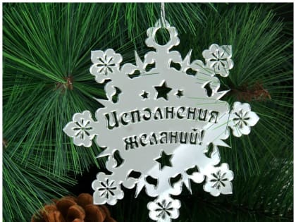 В Пролетарском районе Саранска поздравили опекунскую семью с наступающим Новым годом