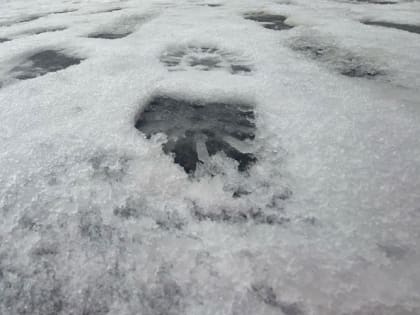 Страшный день: не ходите туда 11 февраля, иначе 40 бед притянете