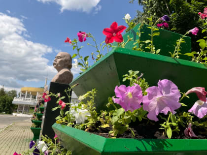 В Саранске продолжают высаживать цветы на городские клумбы