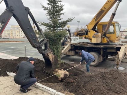 В Саранске началось весеннее озеленение городских территорий