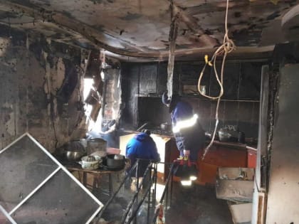 Спасены пять человек, двое из них дети: известны подробности крупного пожара в Мордовии