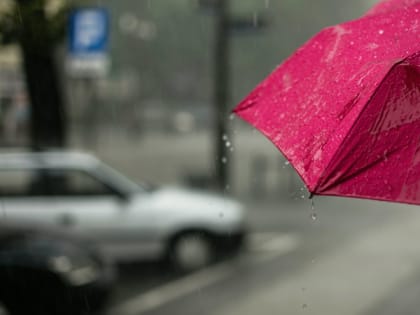 Синоптики рассказали, что в Мордовии прогнозируют дожди и похолодание