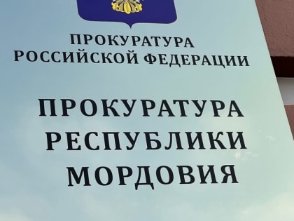 Из-за шквалистого ветра в Мордовии 350 человек остались без электричества 