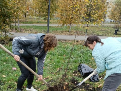 Посадка деревьев в Октябрьском районе