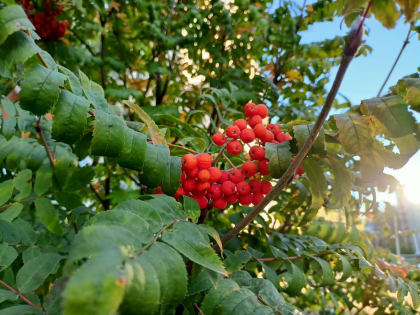 Холодная погода ожидается в Мордовии