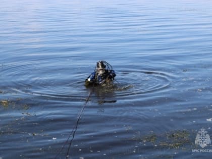 Сельчанин утонул в пруду Ичалковского района Мордовии