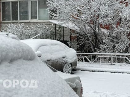 Изменения в пенсионной системе России: что ожидать в 2024 году