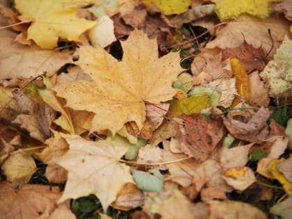 В Мордовии побит температурный рекорд 56-летней давности