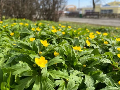 Мордовия оказалась близка к температурному рекорду