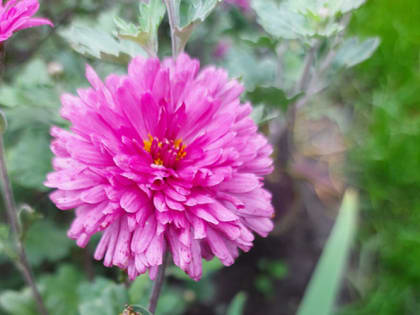 В Мордовии побит температурный рекорд