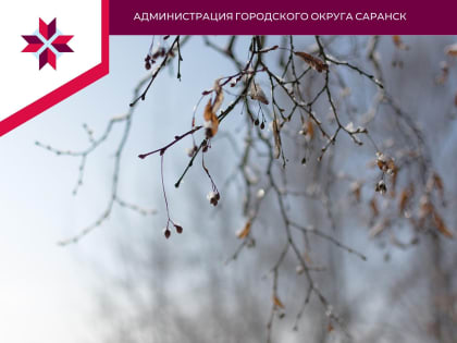 В Саранске на 31 декабря объявлено оперативное предупреждение - туман