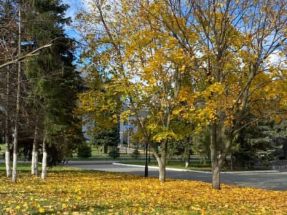 Синоптики прогнозируют стабильную погоду в Мордовии на этой неделе